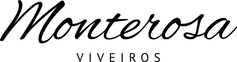 Monterosa